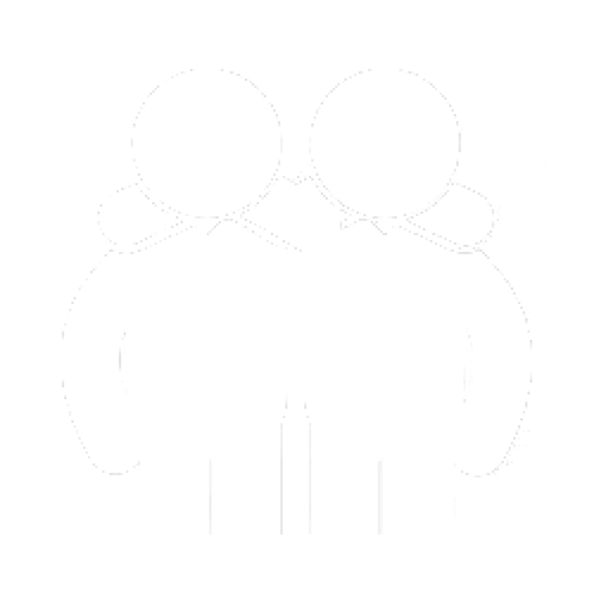 A wave of lasting friendships
