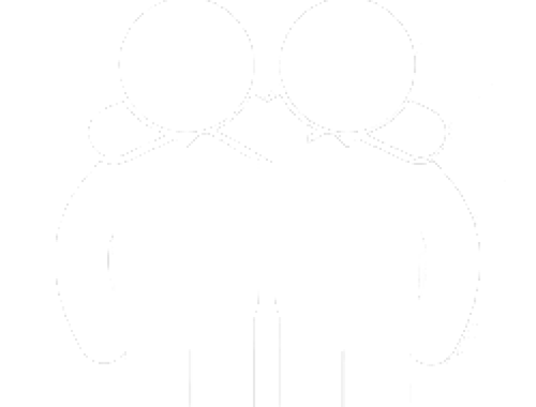 A wave of lasting friendships